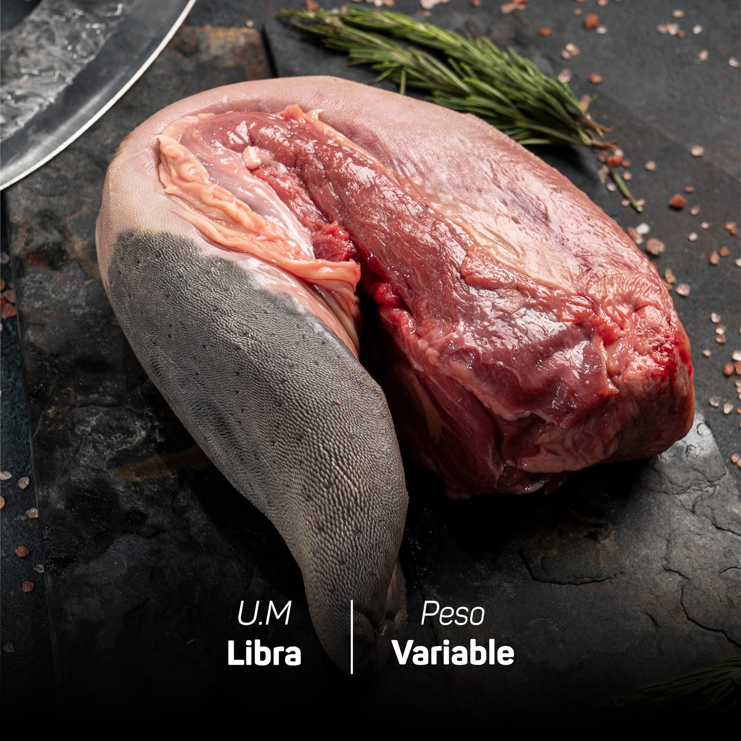 Lengua