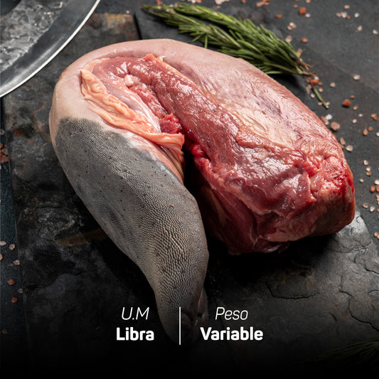 Lengua